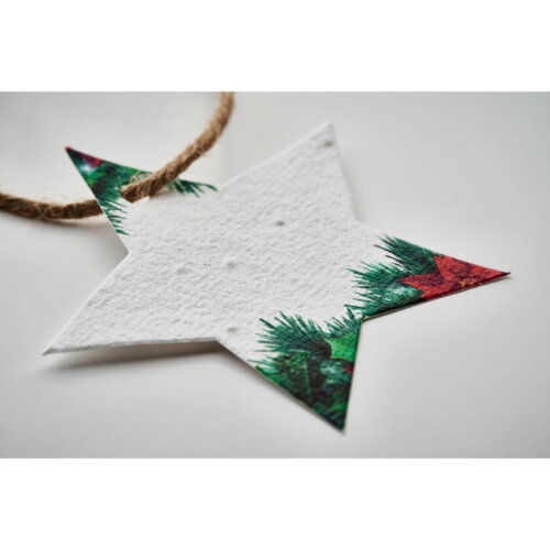 ETOILE Zaadpapier kerstornament wit